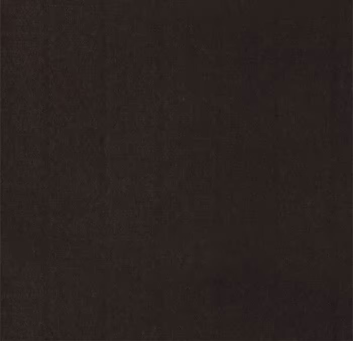 Página do Capítulo 15