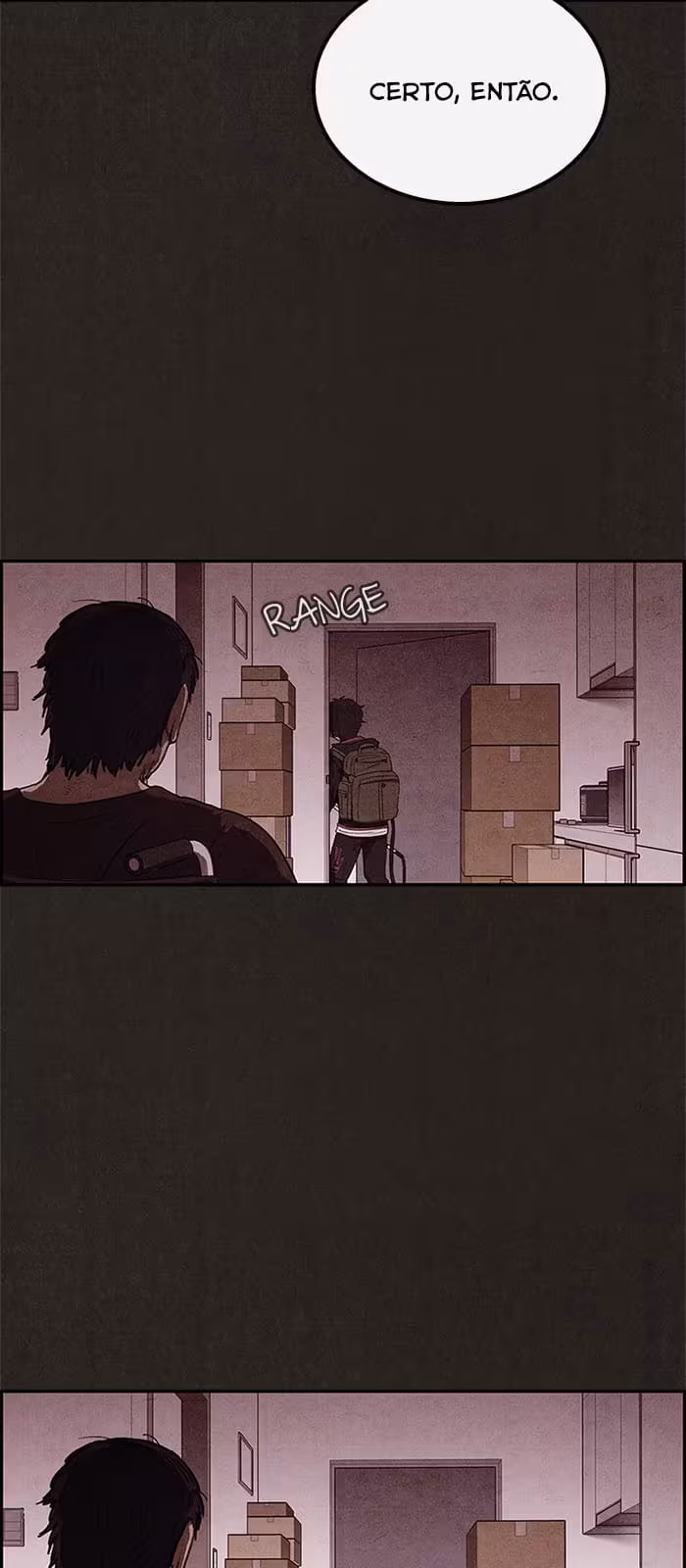 Página do Capítulo 17