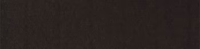 Página do Capítulo 19