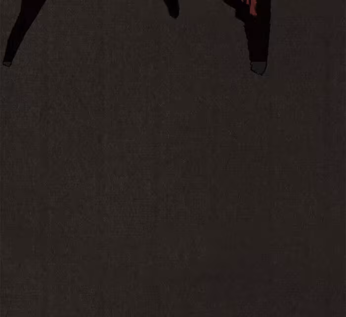 Página do Capítulo 104