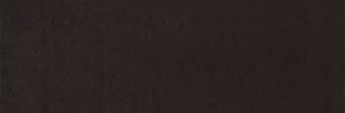 Página do Capítulo 11