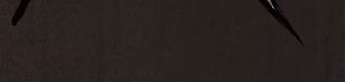 Página do Capítulo 13