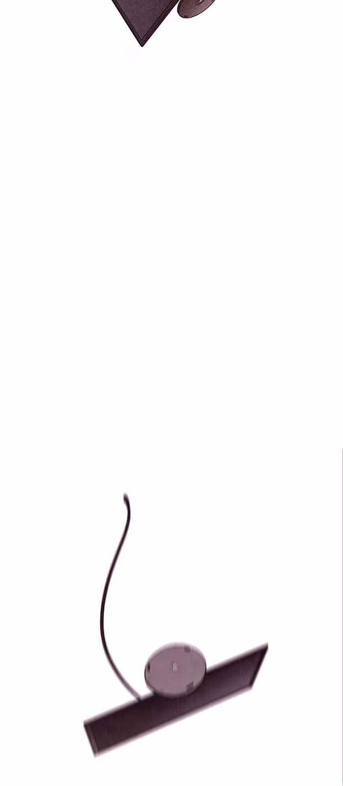 Página do Capítulo 13