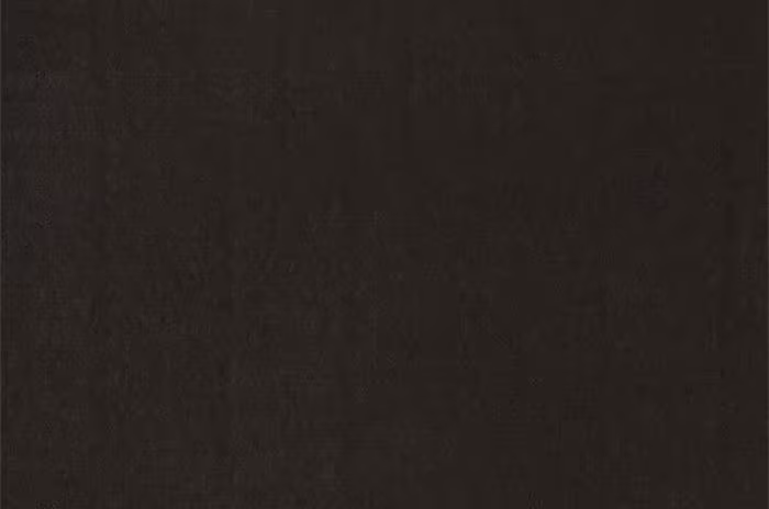 Página do Capítulo 20