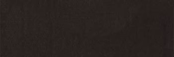 Página do Capítulo 21