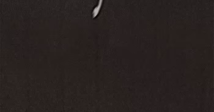 Página do Capítulo 69