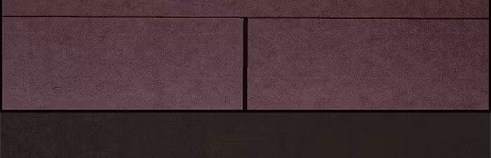 Página do Capítulo 60