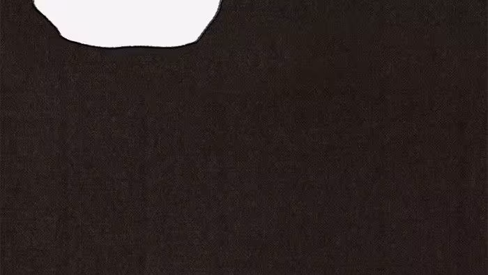 Página do Capítulo 80