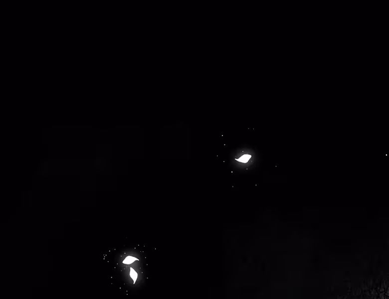 Página do Capítulo 55