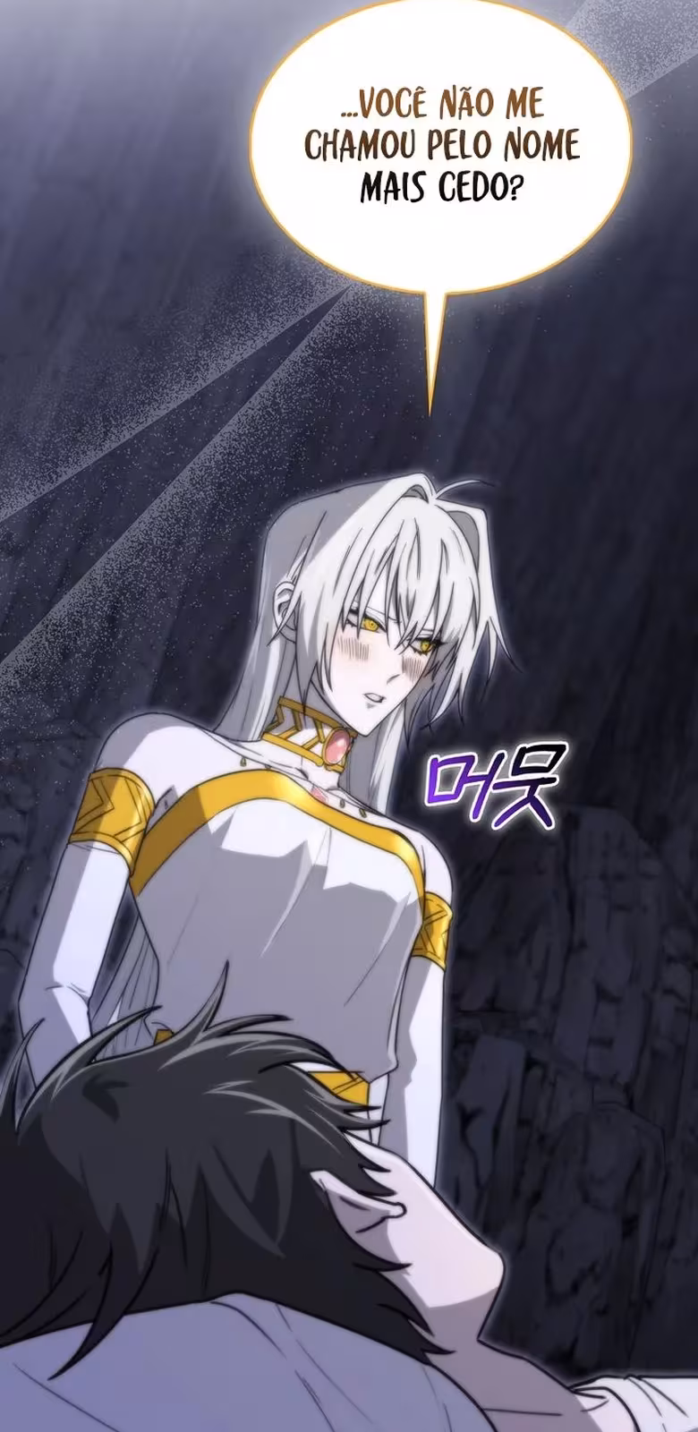 Página do Capítulo 11