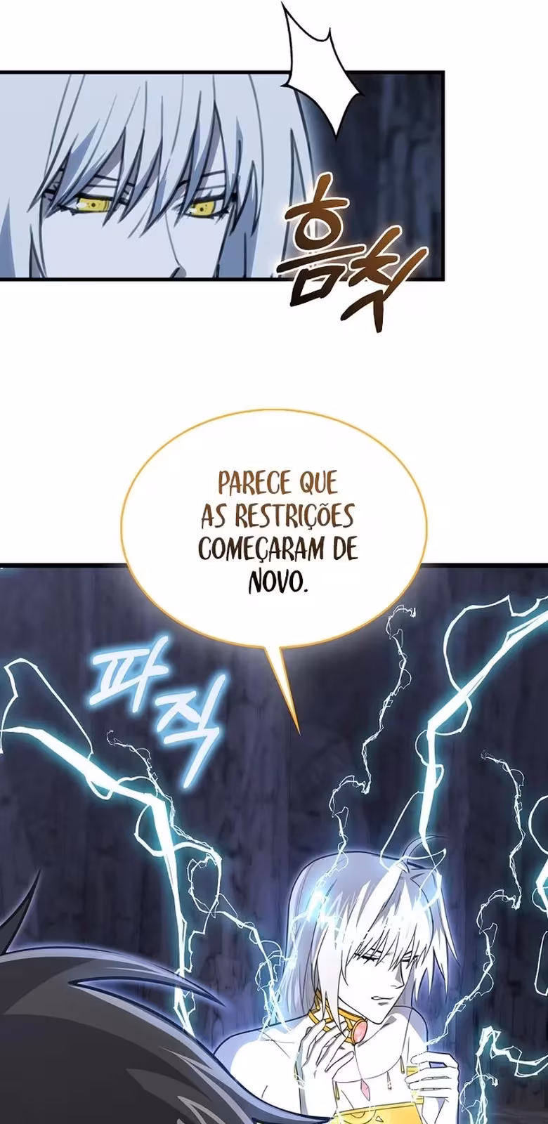 Página do Capítulo 11