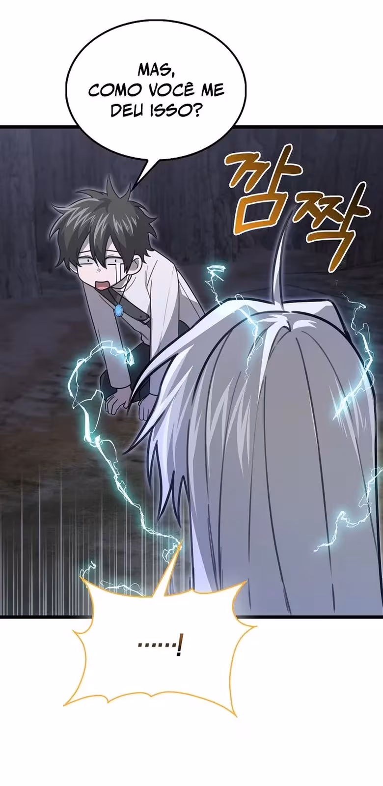 Página do Capítulo 11