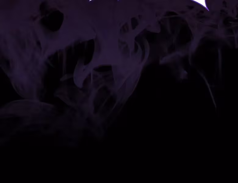 Página do Capítulo 11