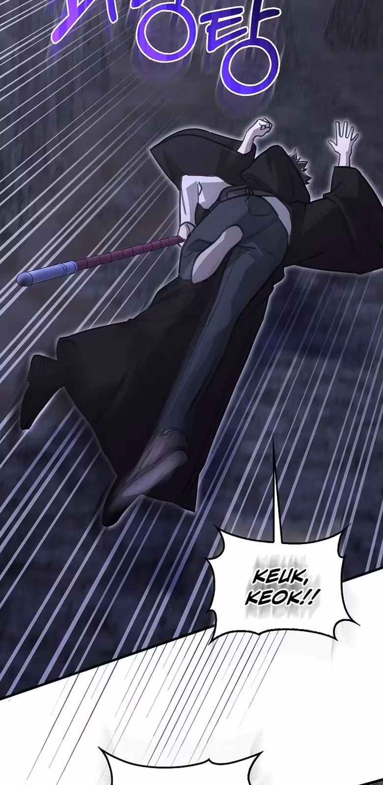 Página do Capítulo 12