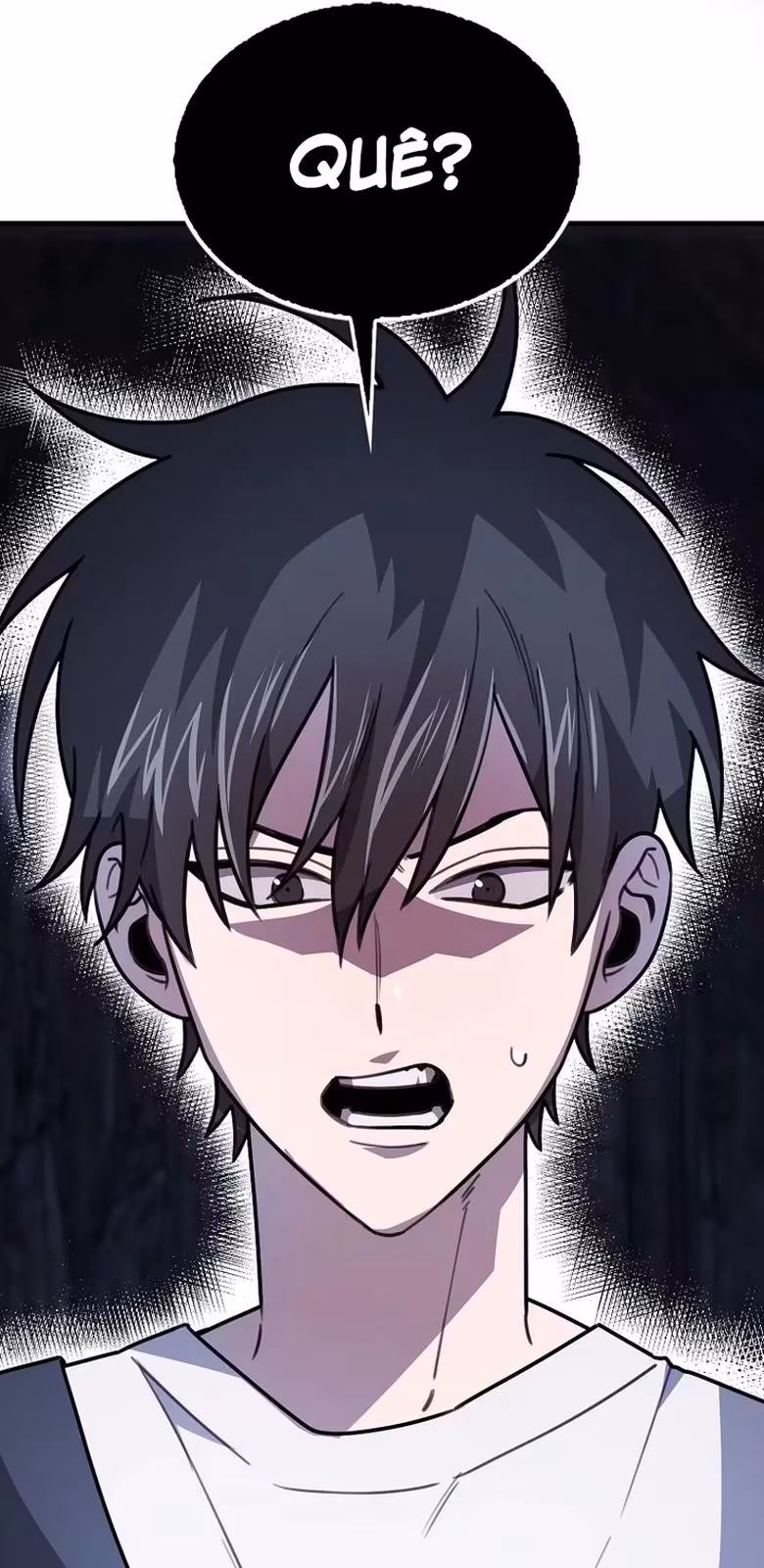 Página do Capítulo 13