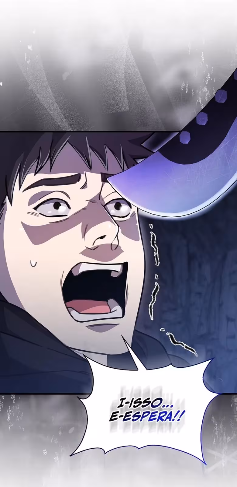 Página do Capítulo 13