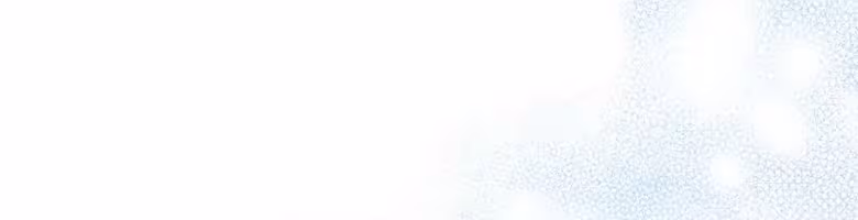 Página do Capítulo 13