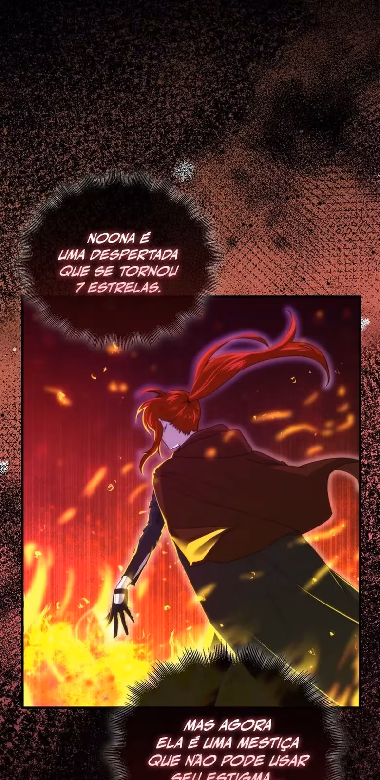 Página do Capítulo 14