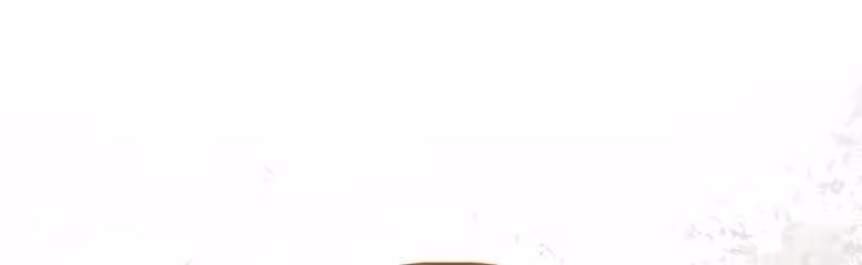 Página do Capítulo 19