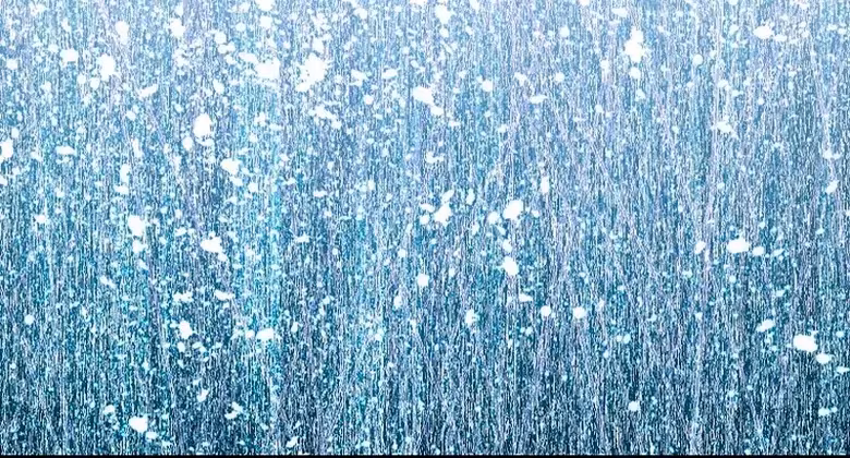 Página do Capítulo 21