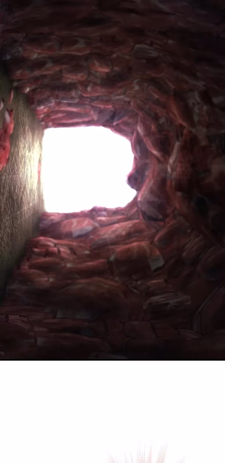 Página do Capítulo 22