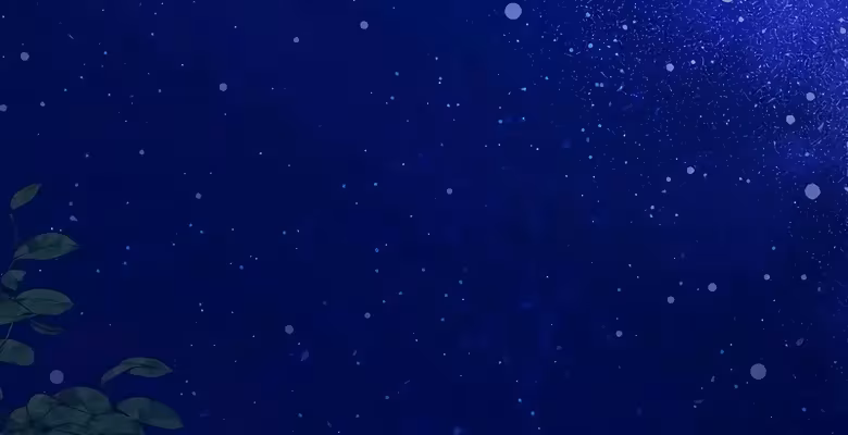 Página do Capítulo 29