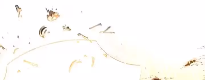 Página do Capítulo 29