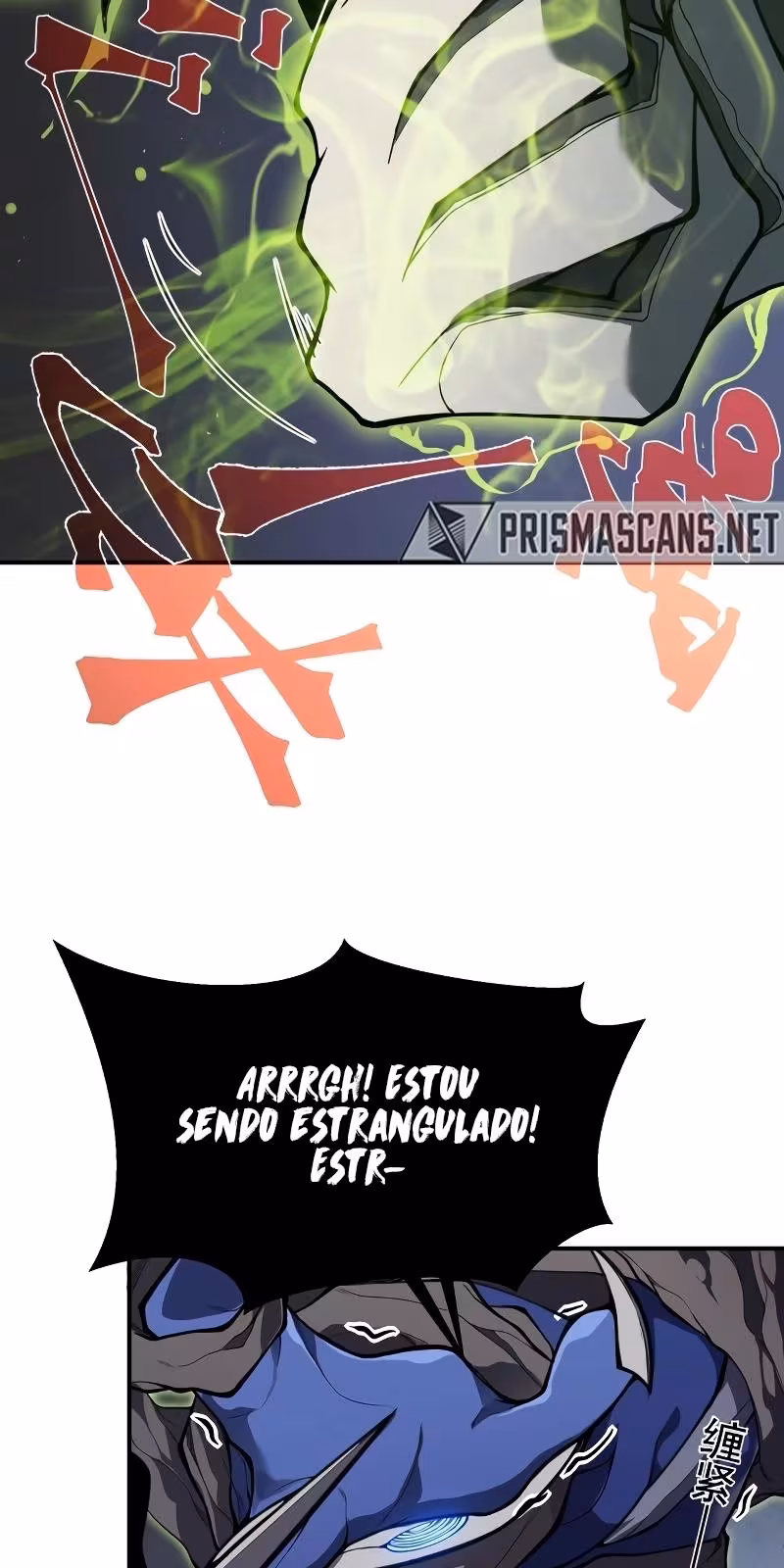 Página do Capítulo 17