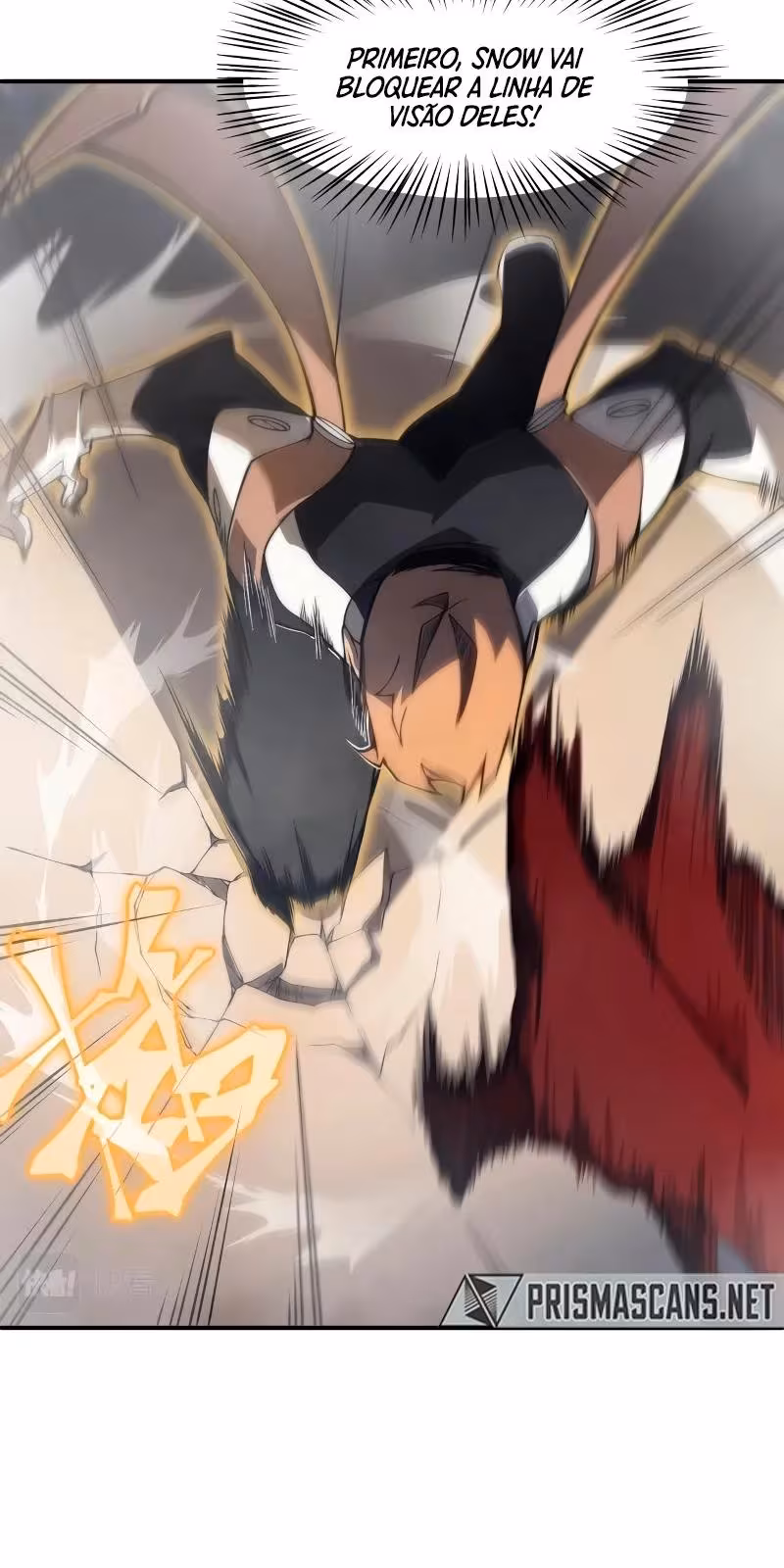 Página do Capítulo 11