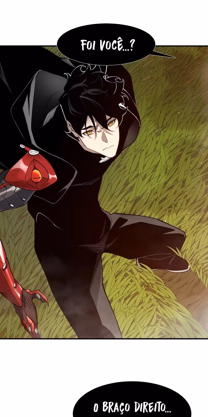 Página do Capítulo 111