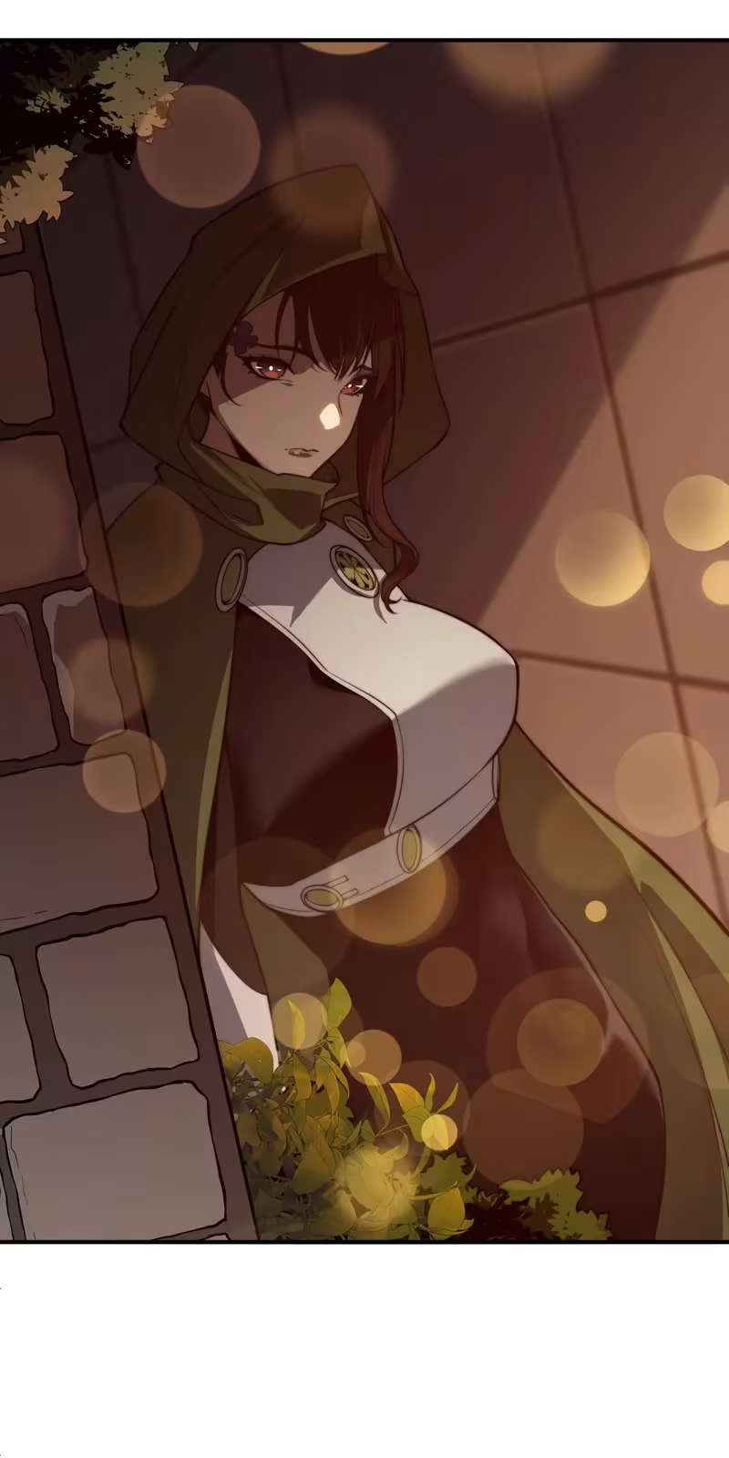 Página do Capítulo 48