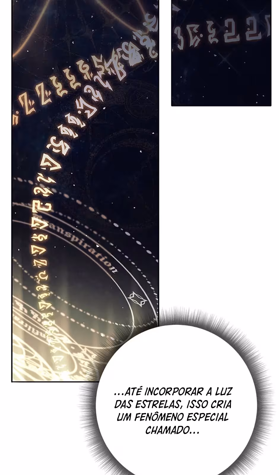 Página do Capítulo 10