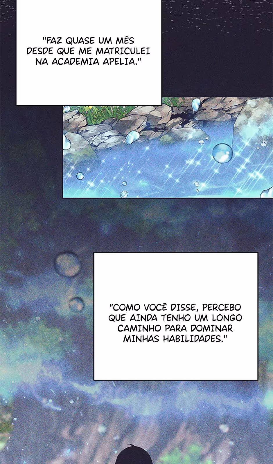 Página do Capítulo 11