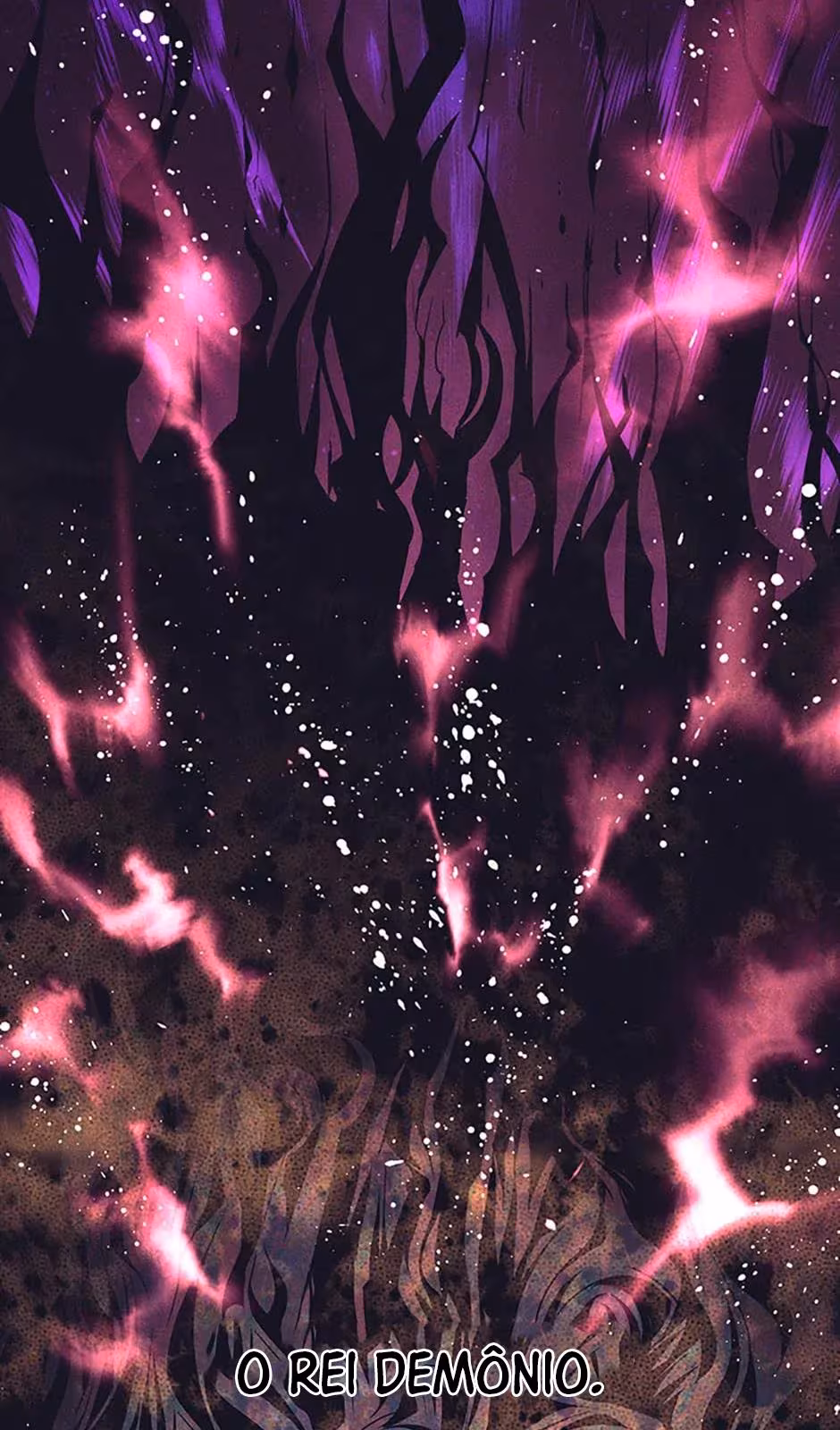 Página do Capítulo 13