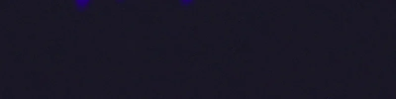 Página do Capítulo 39