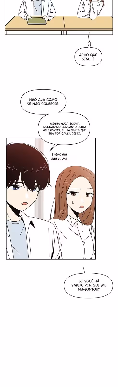 Página do Capítulo 13