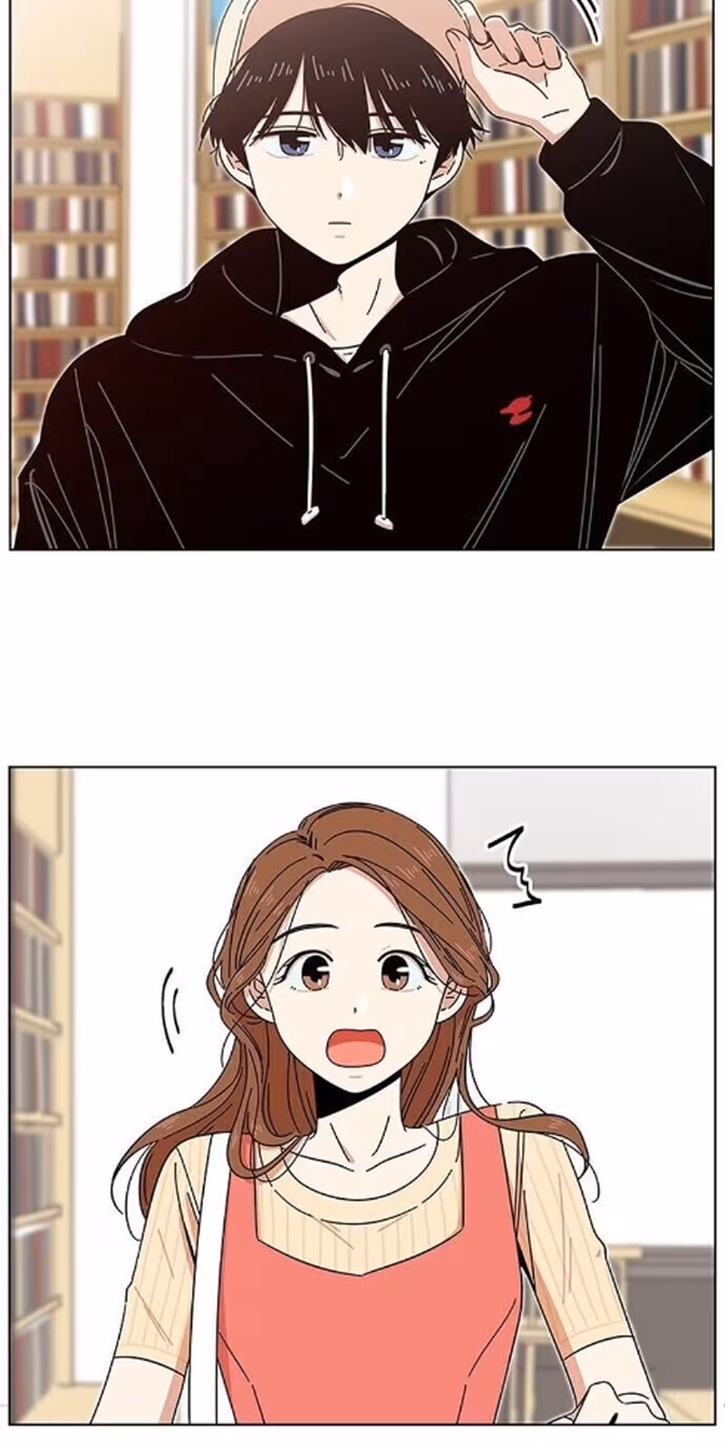 Página do Capítulo 15