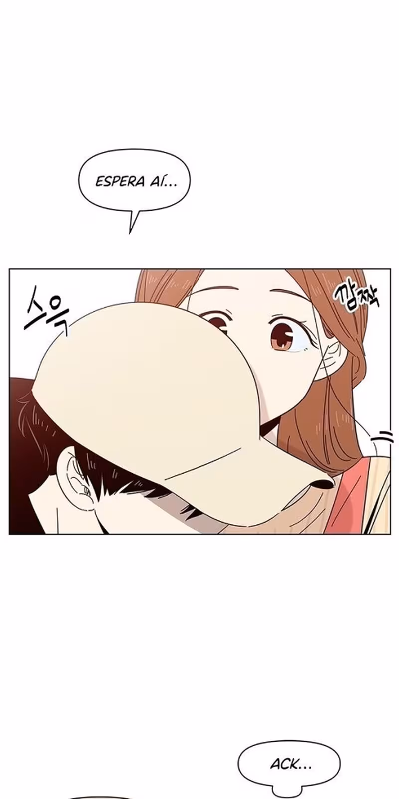 Página do Capítulo 16