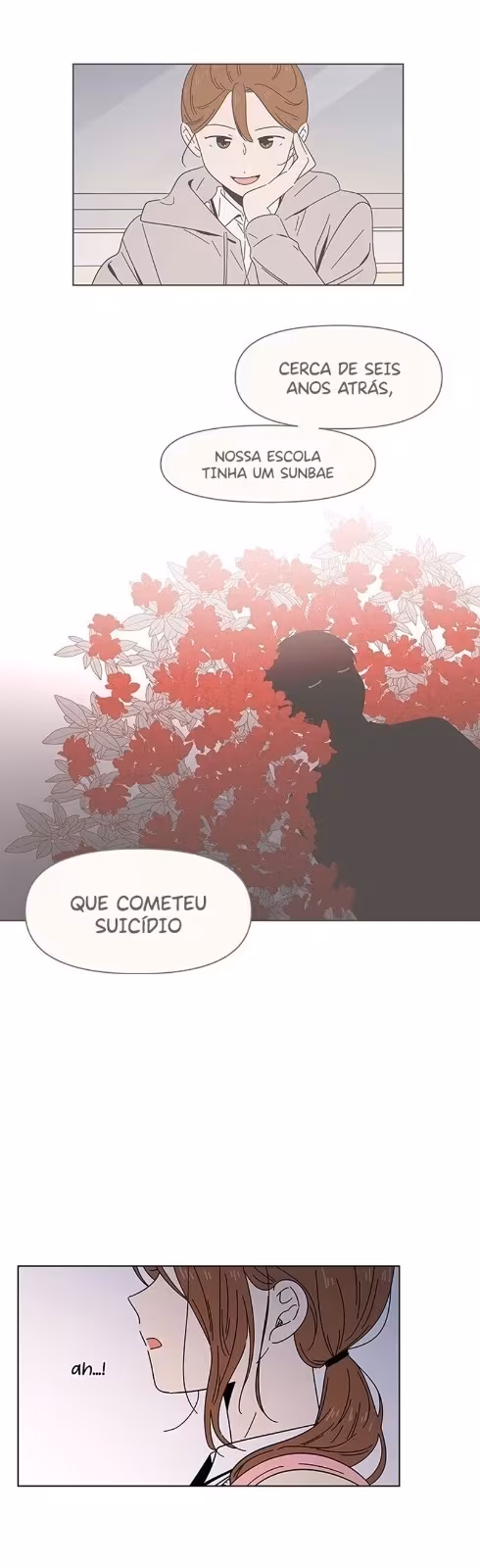 Página do Capítulo 19