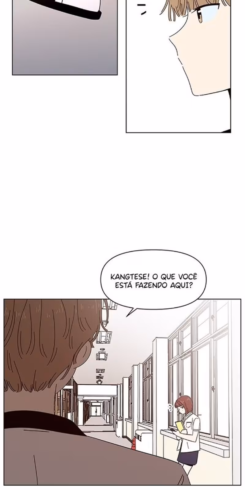 Página do Capítulo 20