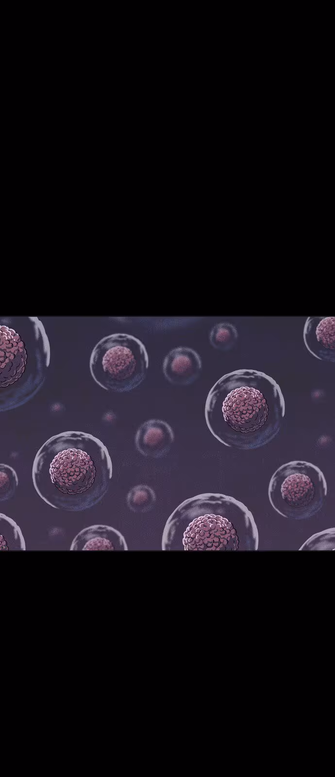 Página do Capítulo 08