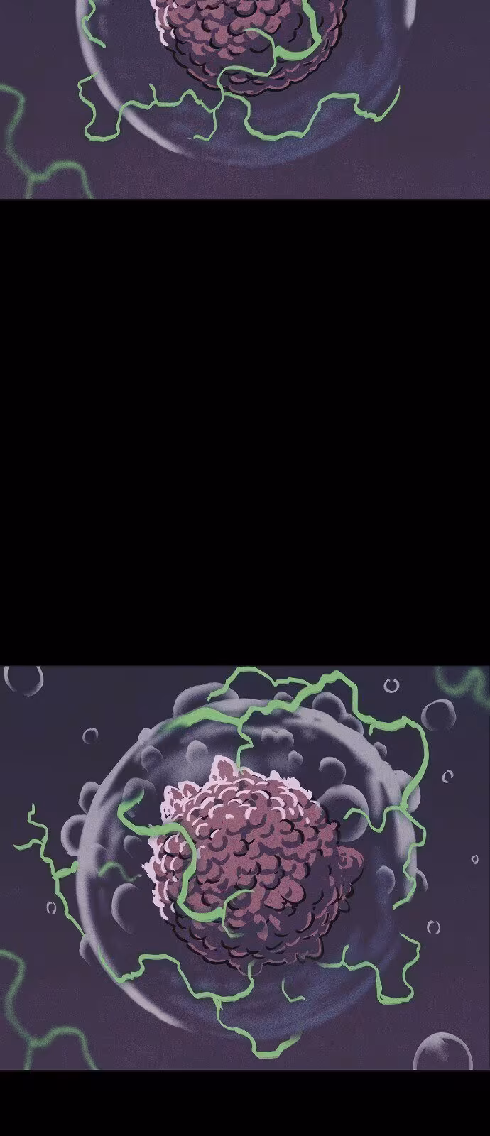 Página do Capítulo 08