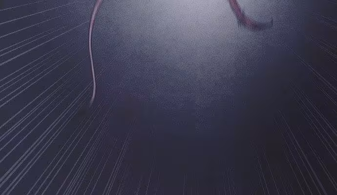 Página do Capítulo 15