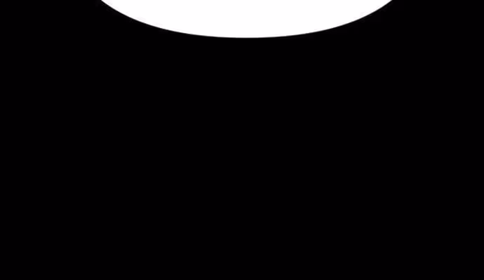 Página do Capítulo 11