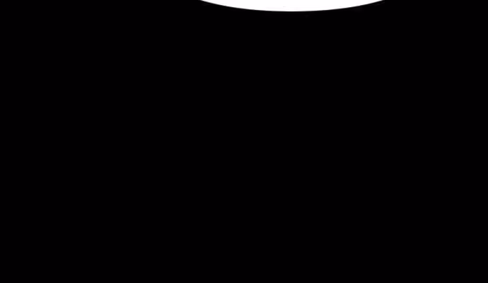 Página do Capítulo 11