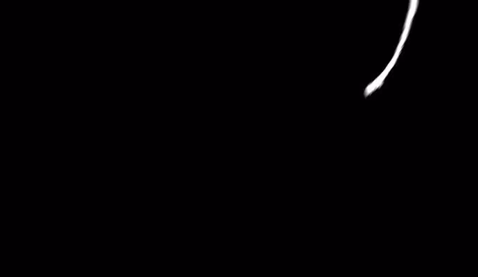 Página do Capítulo 24