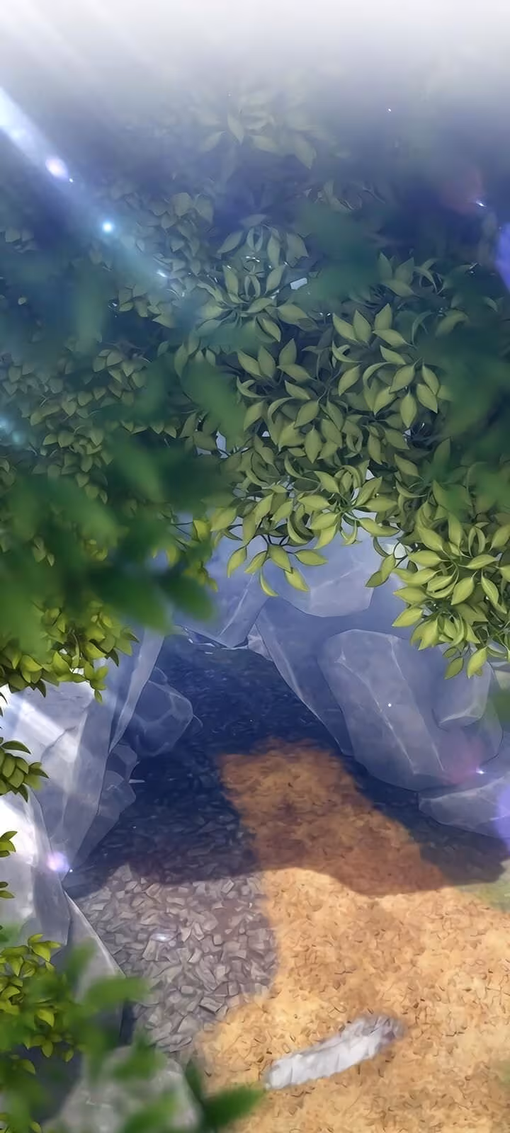 Página do Capítulo 06