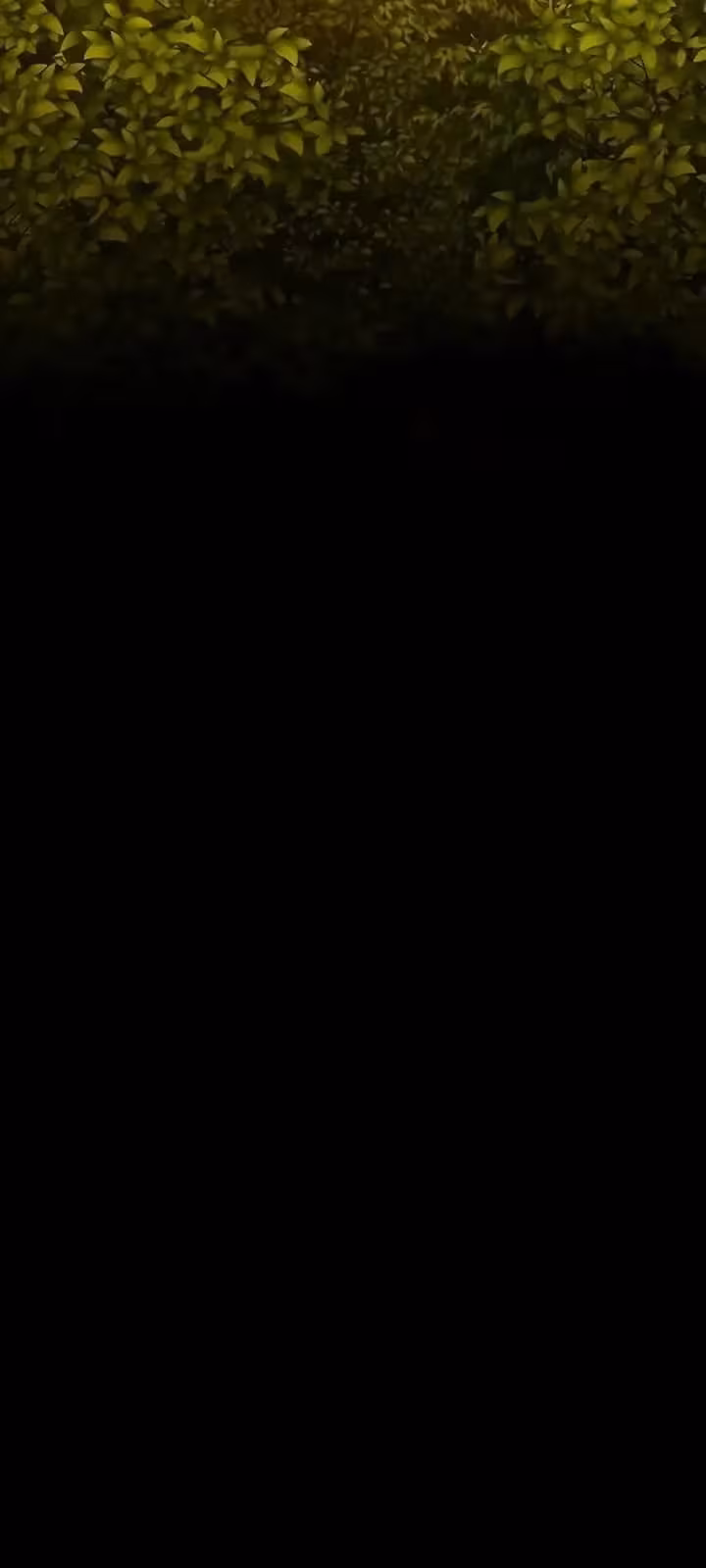 Página do Capítulo 08