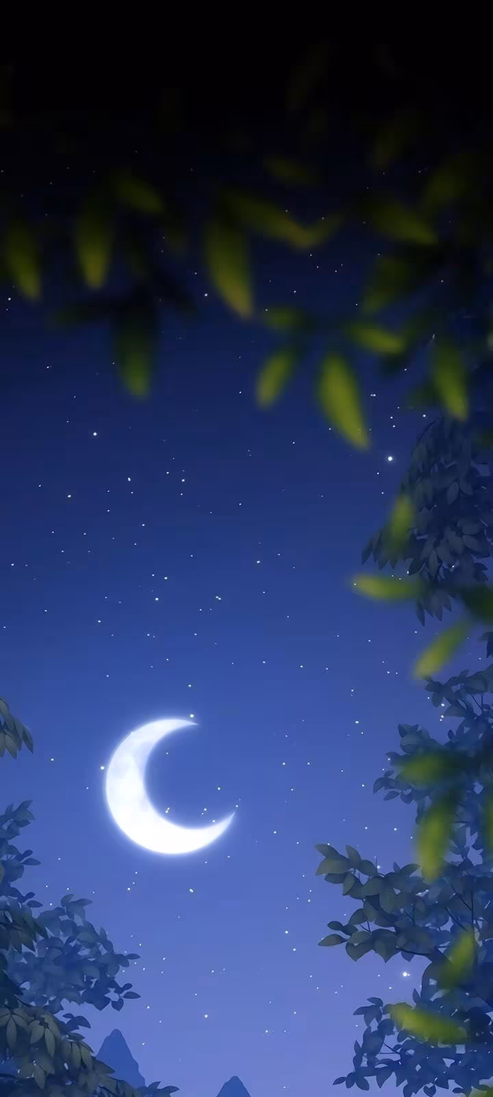 Página do Capítulo 08