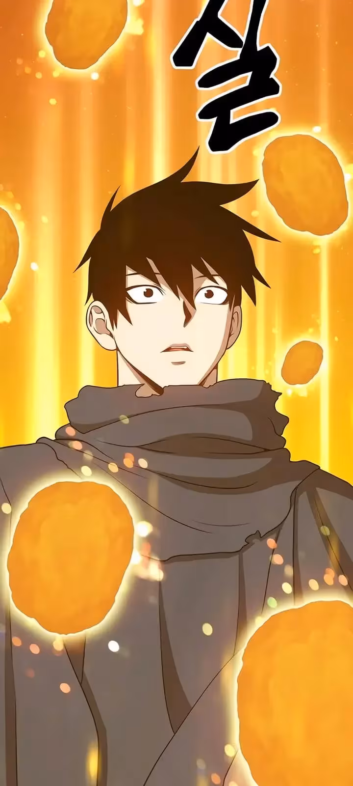 Página do Capítulo 10